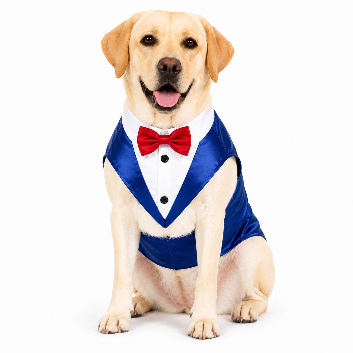 Thunder Tails Dog Tuxedo - Blue