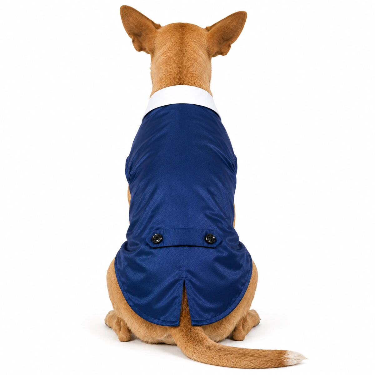 Thunder Tails Dog Tuxedo - Blue