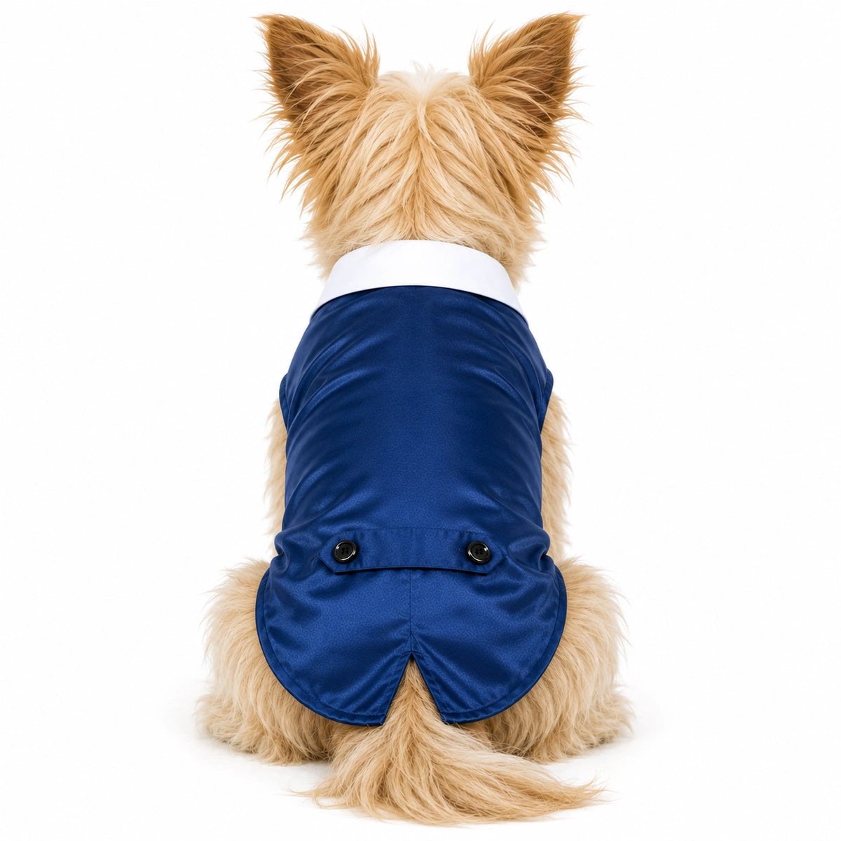 Thunder Tails Dog Tuxedo - Blue