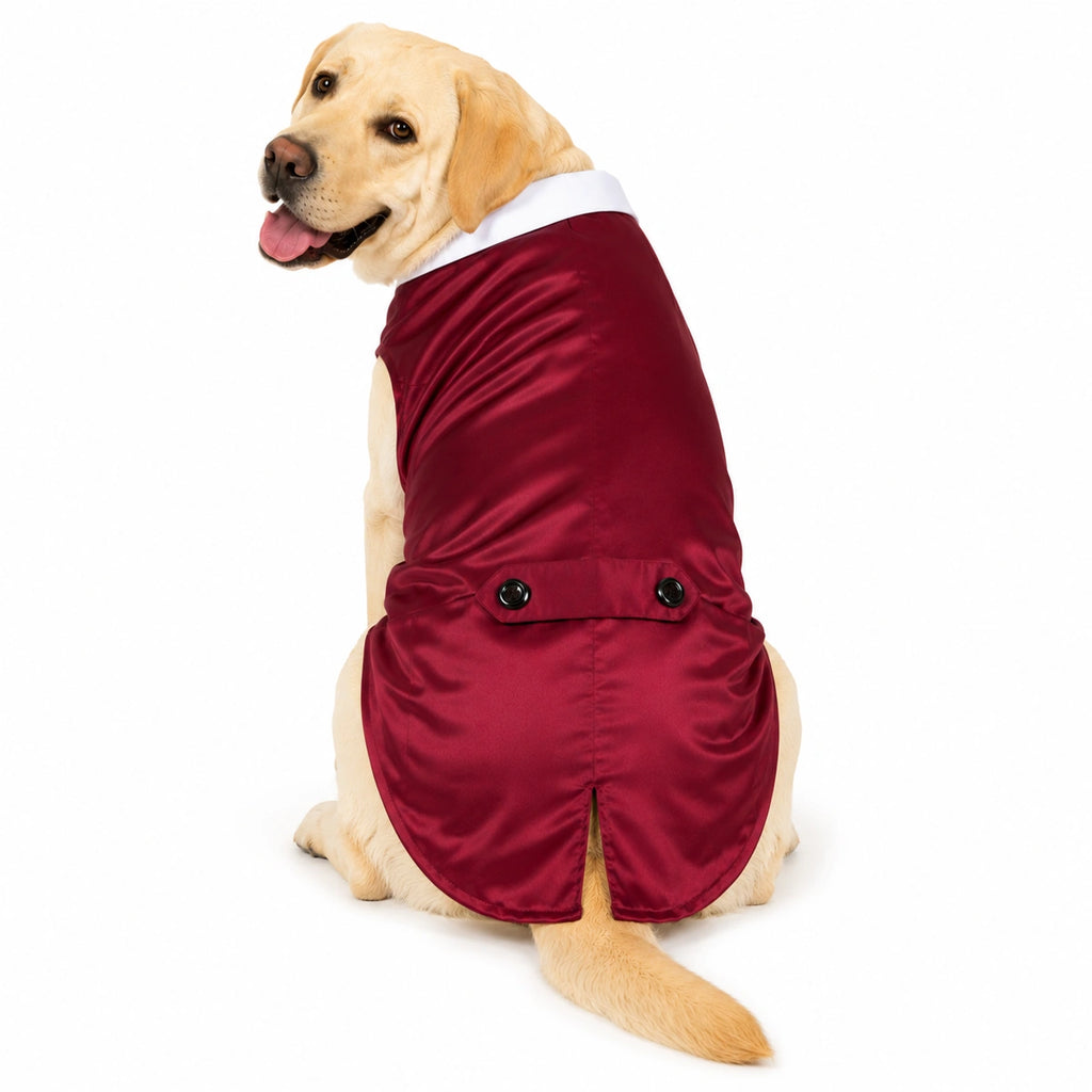 Thunder Tails Dog Tuxedo - Maroon