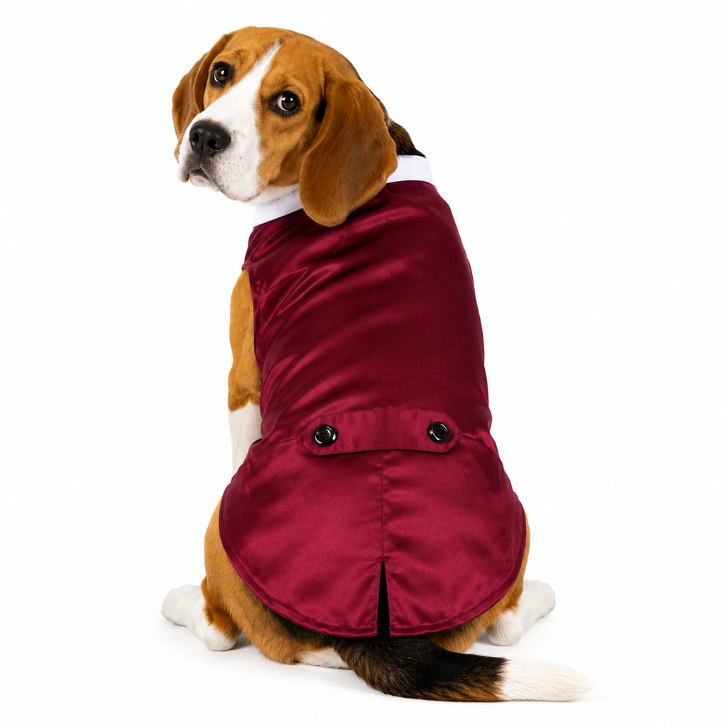 Thunder Tails Dog Tuxedo - Maroon