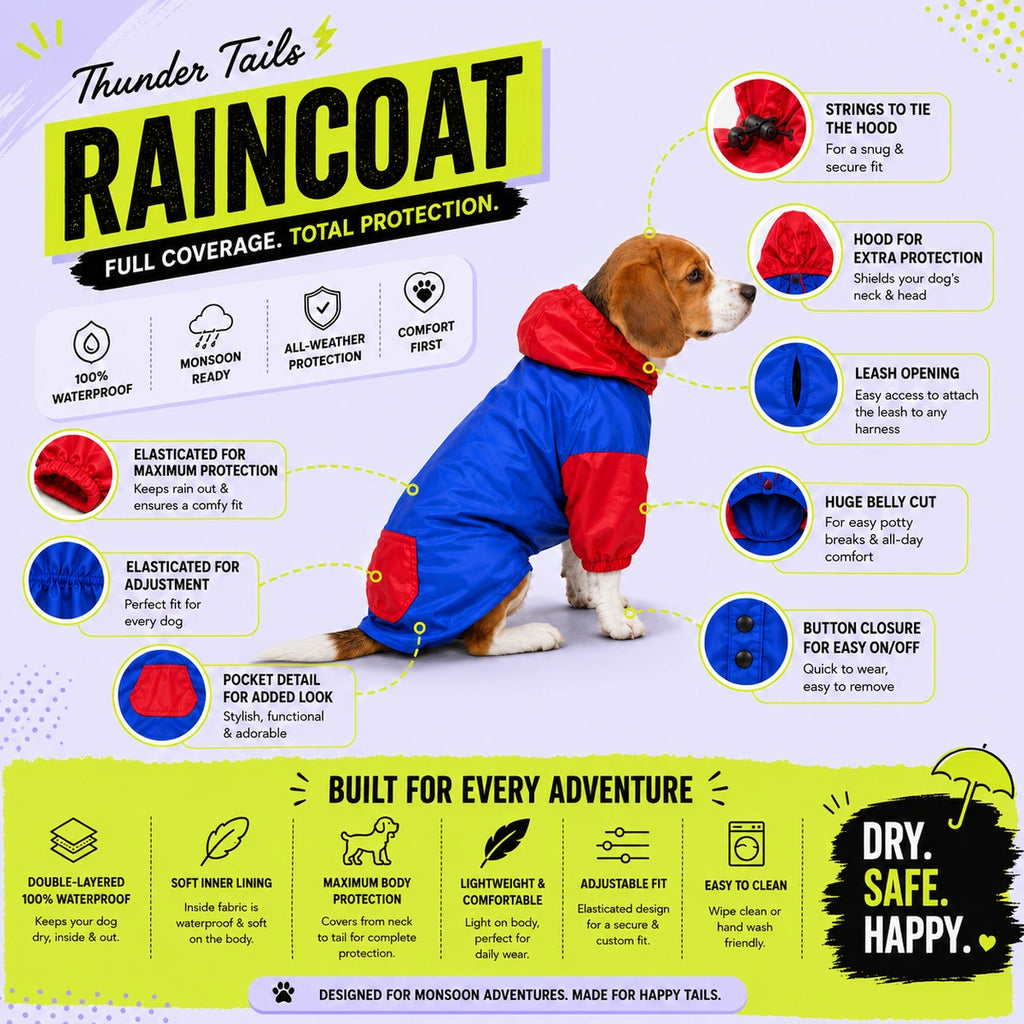 Thunder Tails Drizzle Sizzle 2.0 Raincoat -Neon/Orange