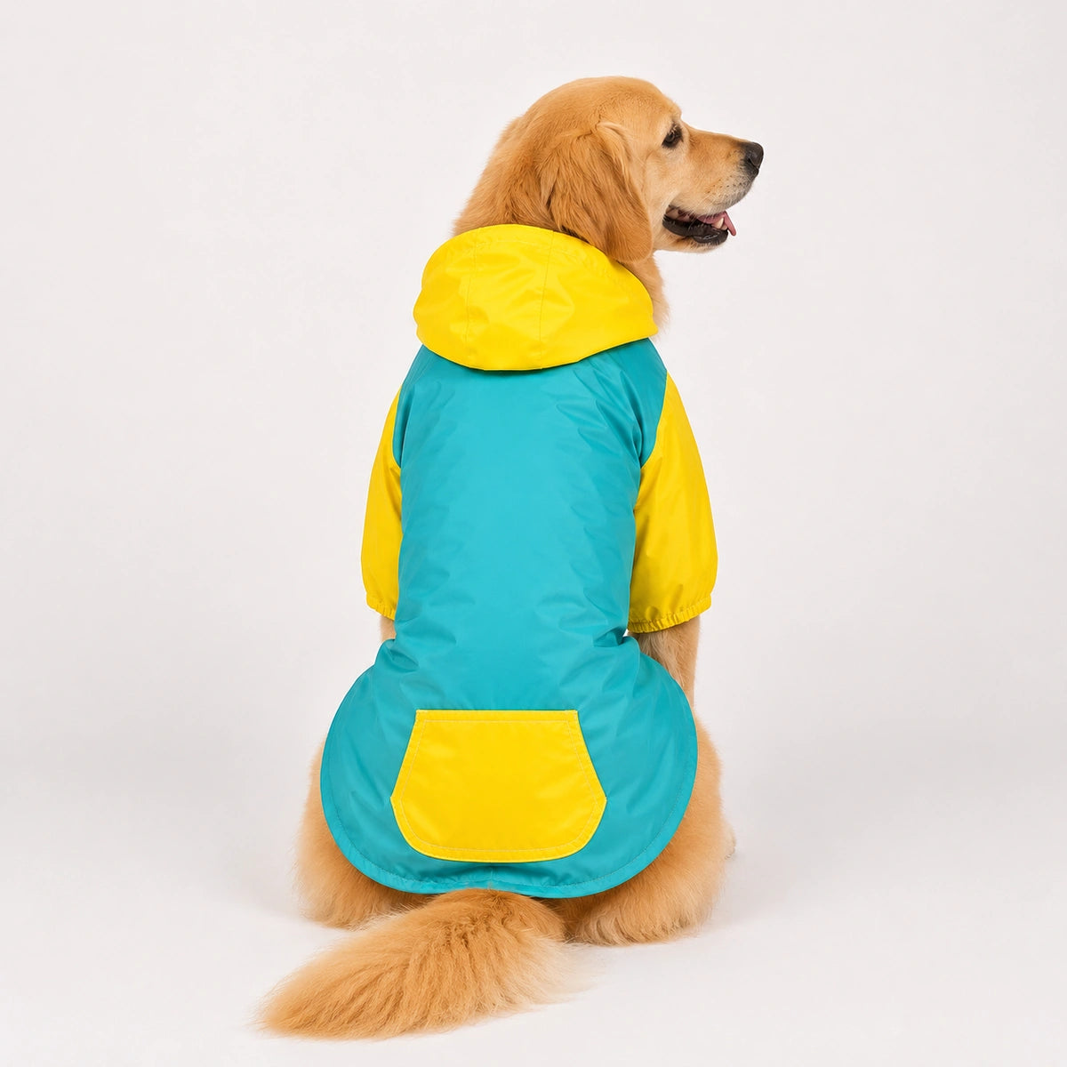 Thunder Tails Drizzle Sizzle 2.0 Raincoat - Teal/Yellow
