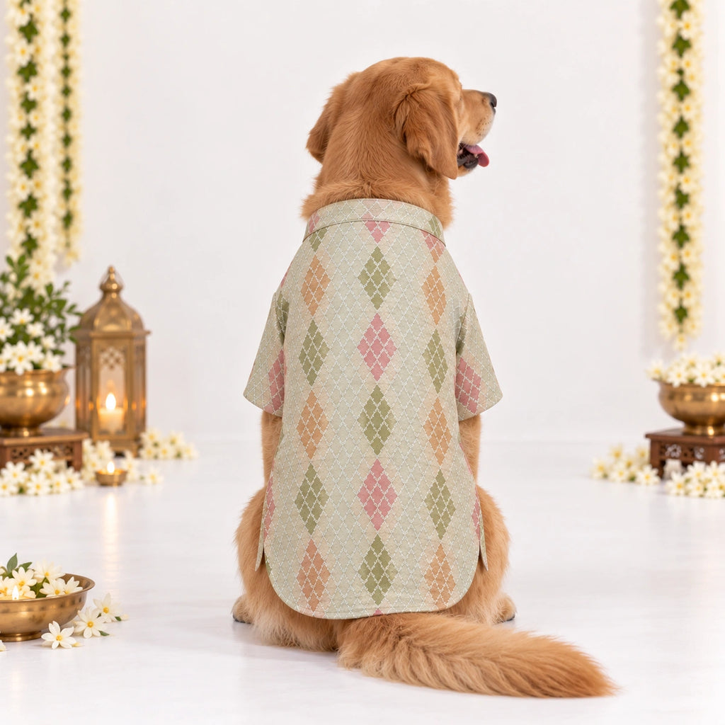 Thunder Tails Jashn Dog Kurta - Cream Zari
