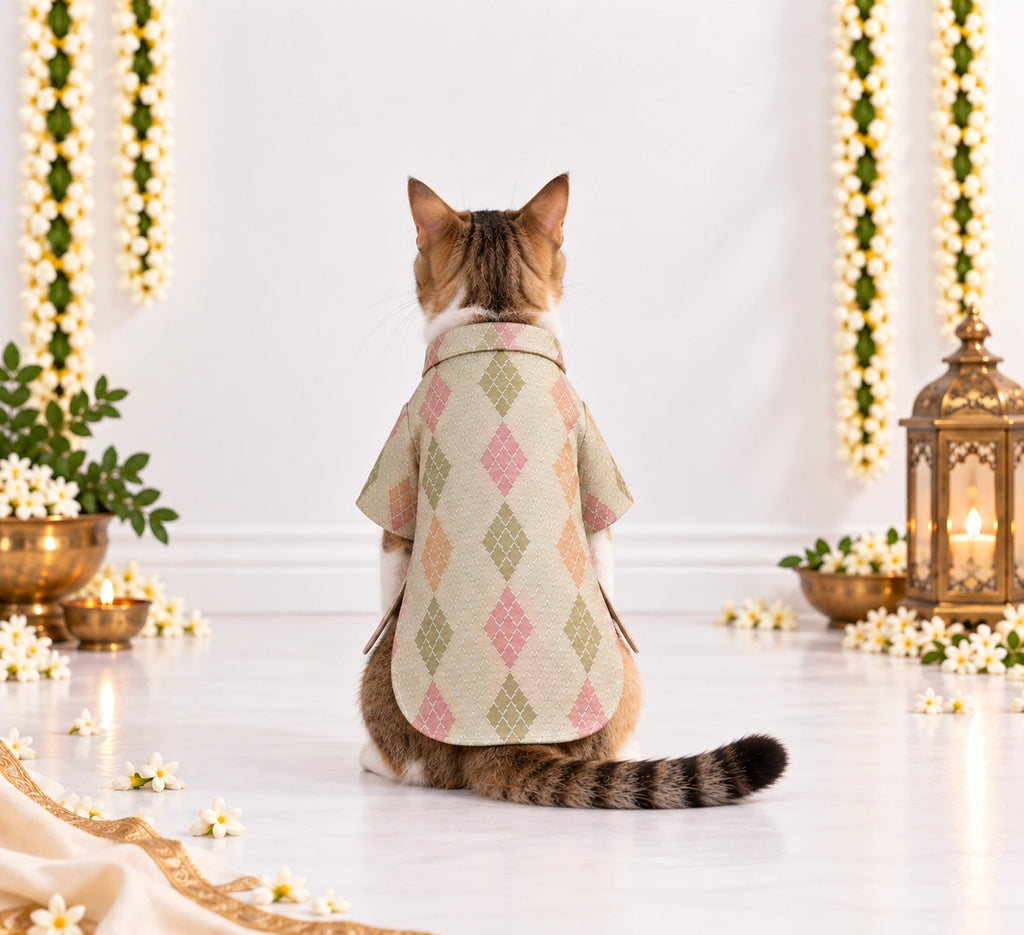 Thunder Tails Jashn Cat Kurta - Cream Zari
