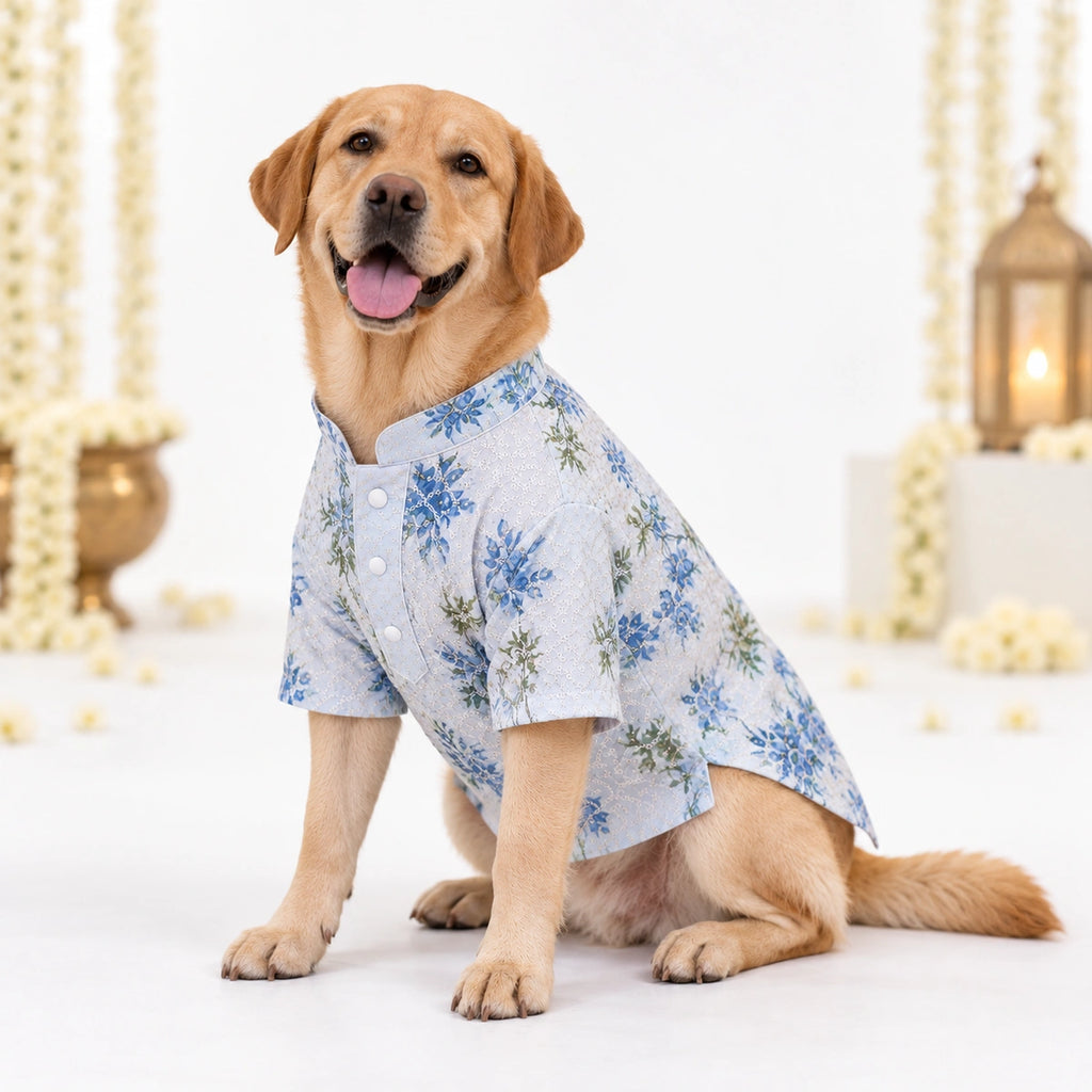 Thunder Tails Jashn Dog Kurta - Blue Sequins