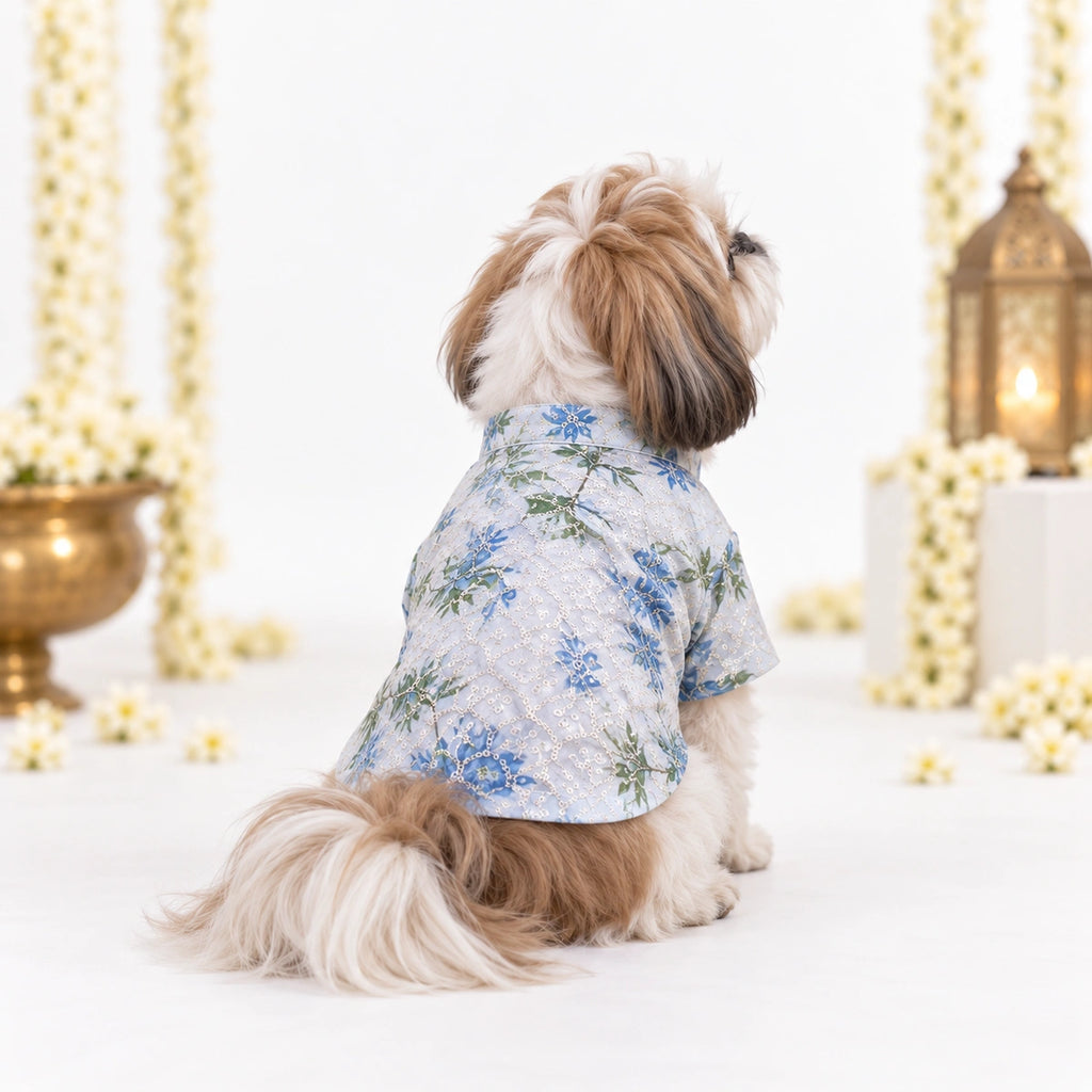 Thunder Tails Jashn Dog Kurta - Blue Sequins