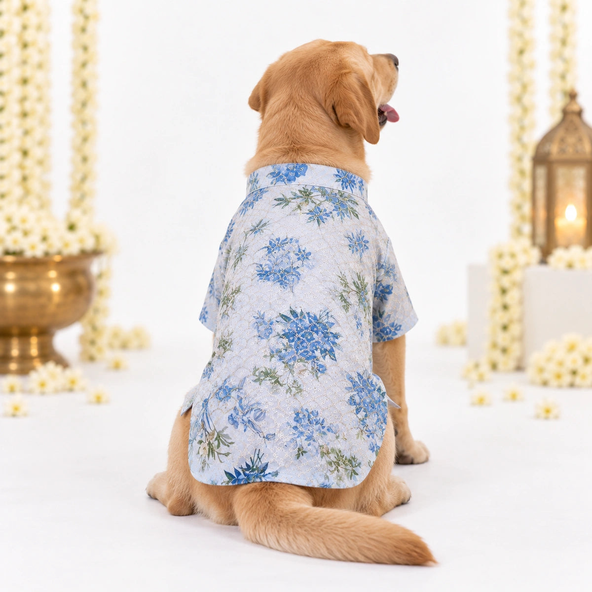 Thunder Tails Jashn Dog Kurta - Blue Sequins
