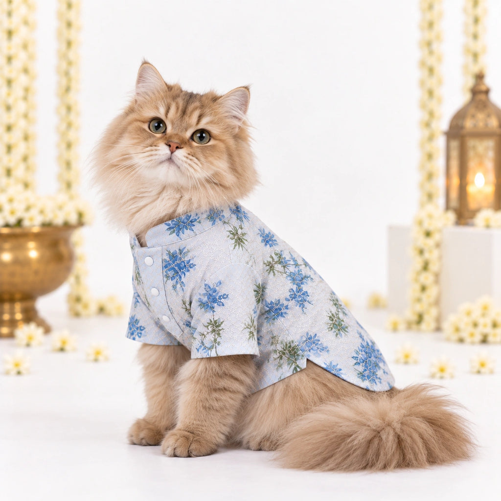 Thunder Tails Jashn Cat Kurta - Blue Sequins