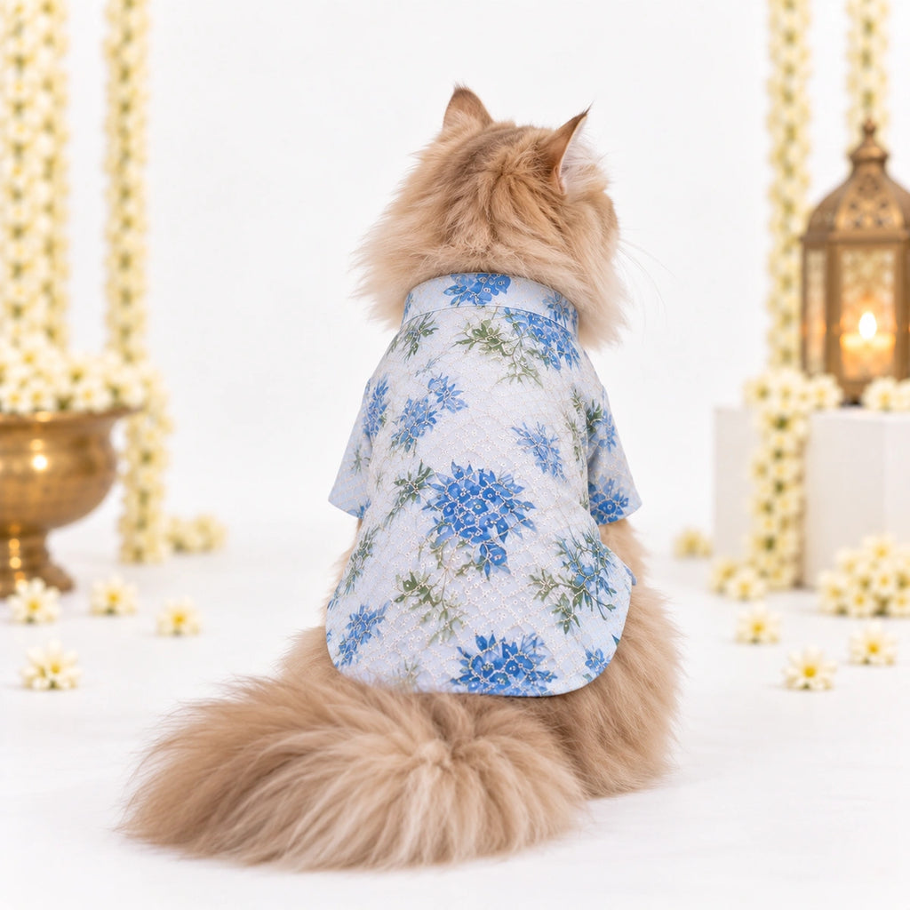 Thunder Tails Jashn Cat Kurta - Blue Sequins