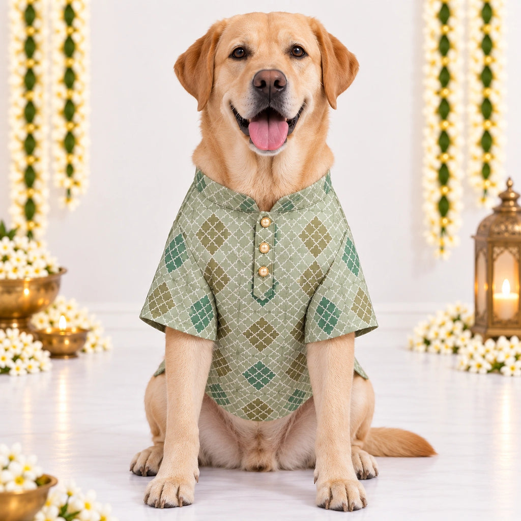 Thunder Tails Jashn Dog Kurta - Green Zari