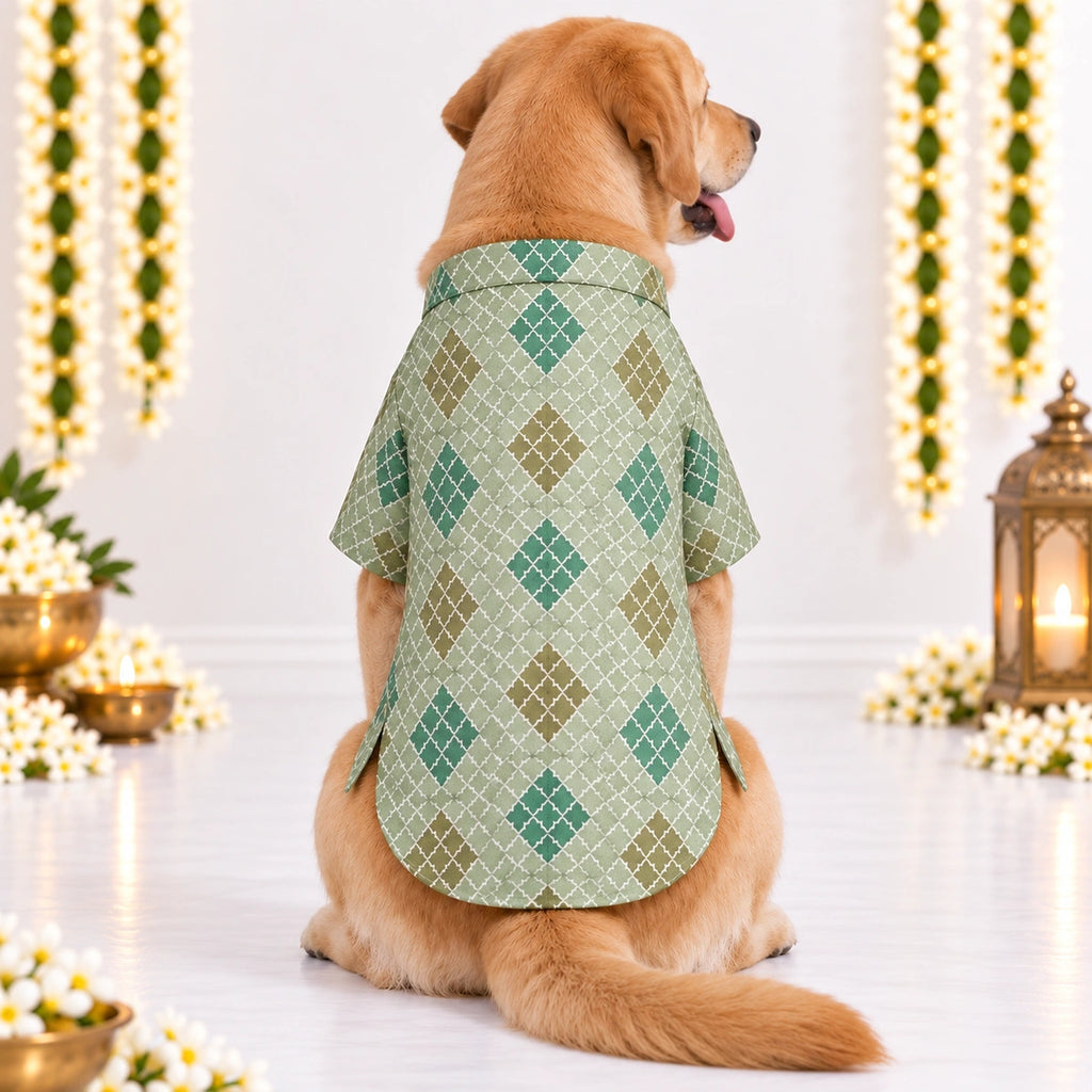 Thunder Tails Jashn Dog Kurta - Green Zari