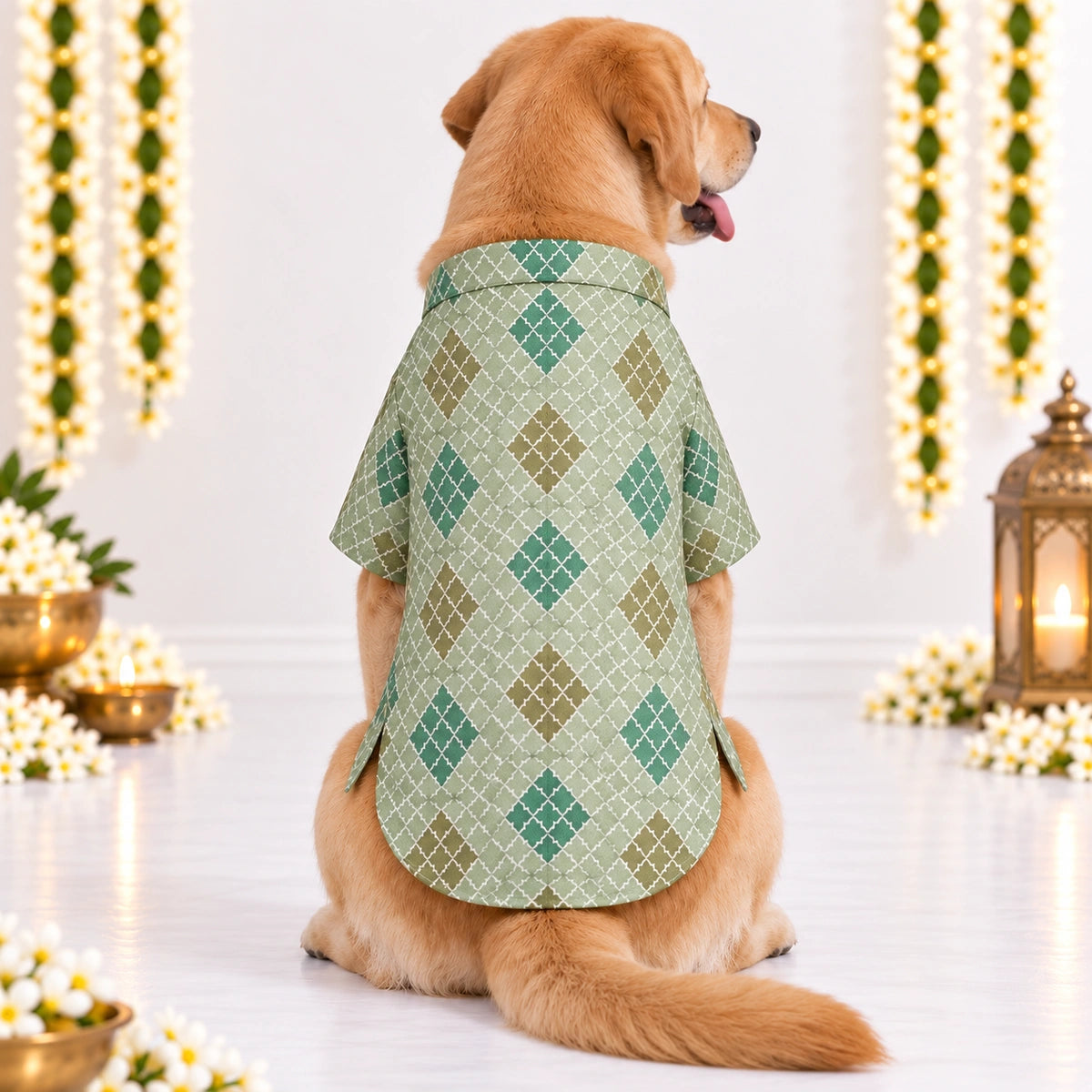 Thunder Tails Jashn Dog Kurta - Green Zari