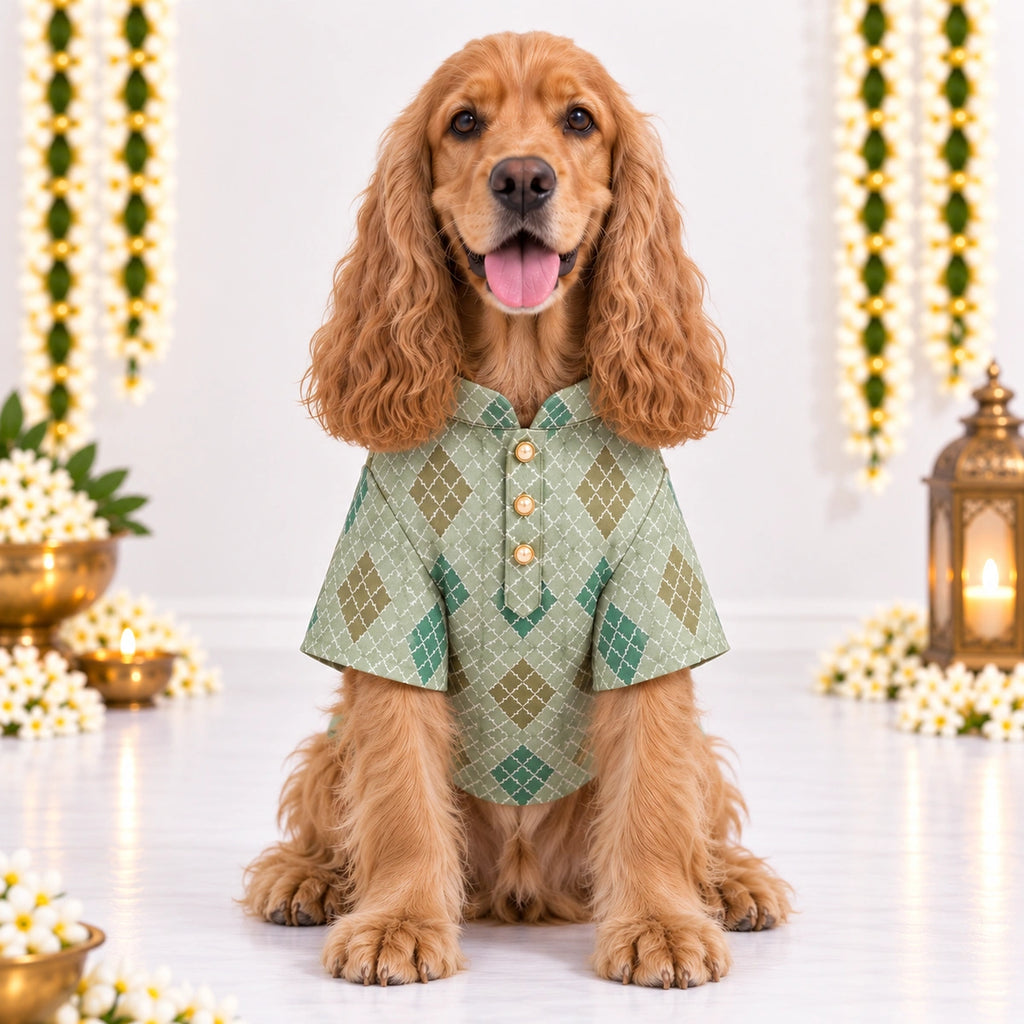 Thunder Tails Jashn Dog Kurta - Green Zari