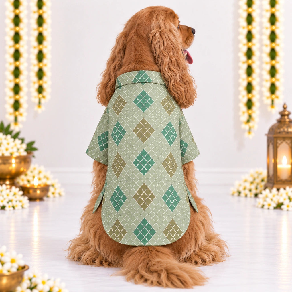 Thunder Tails Jashn Dog Kurta - Green Zari