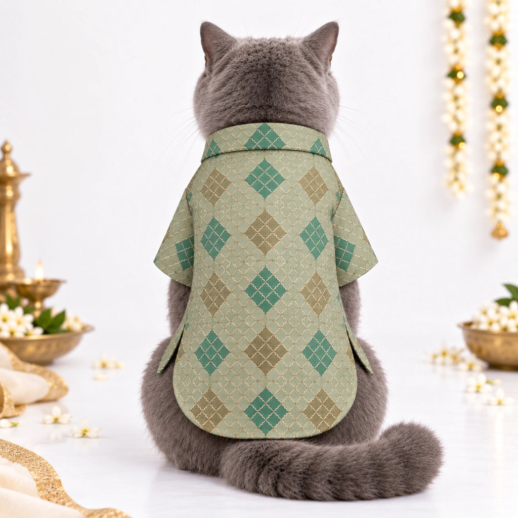 Thunder Tails Jashn Cat Kurta - Green Zari