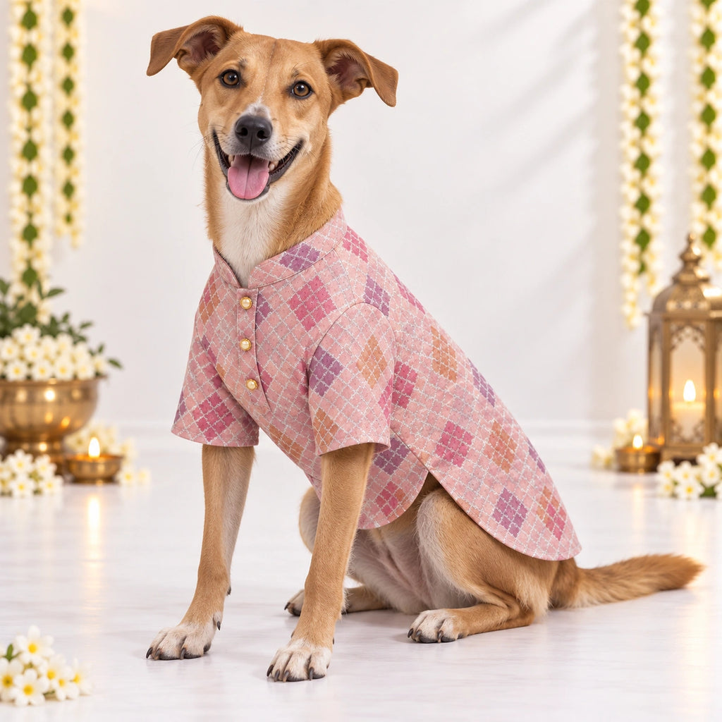Thunder Tails Jashn Dog Kurta - Pink Zari