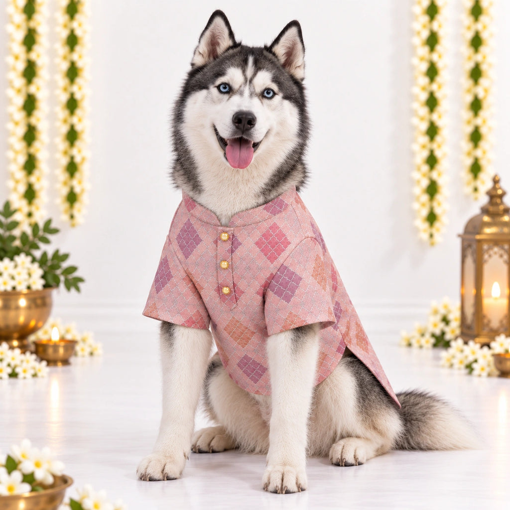 Thunder Tails Jashn Dog Kurta - Pink Zari