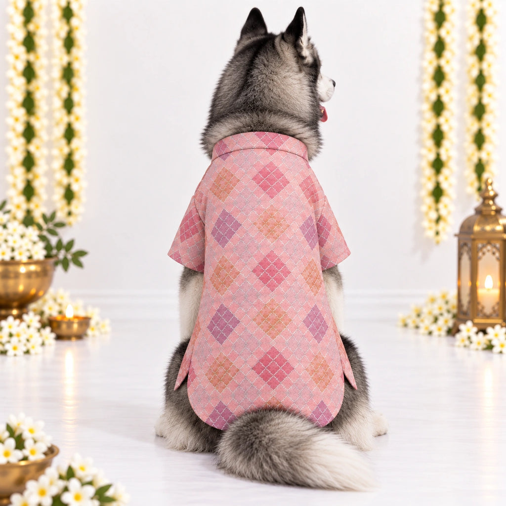 Thunder Tails Jashn Dog Kurta - Pink Zari