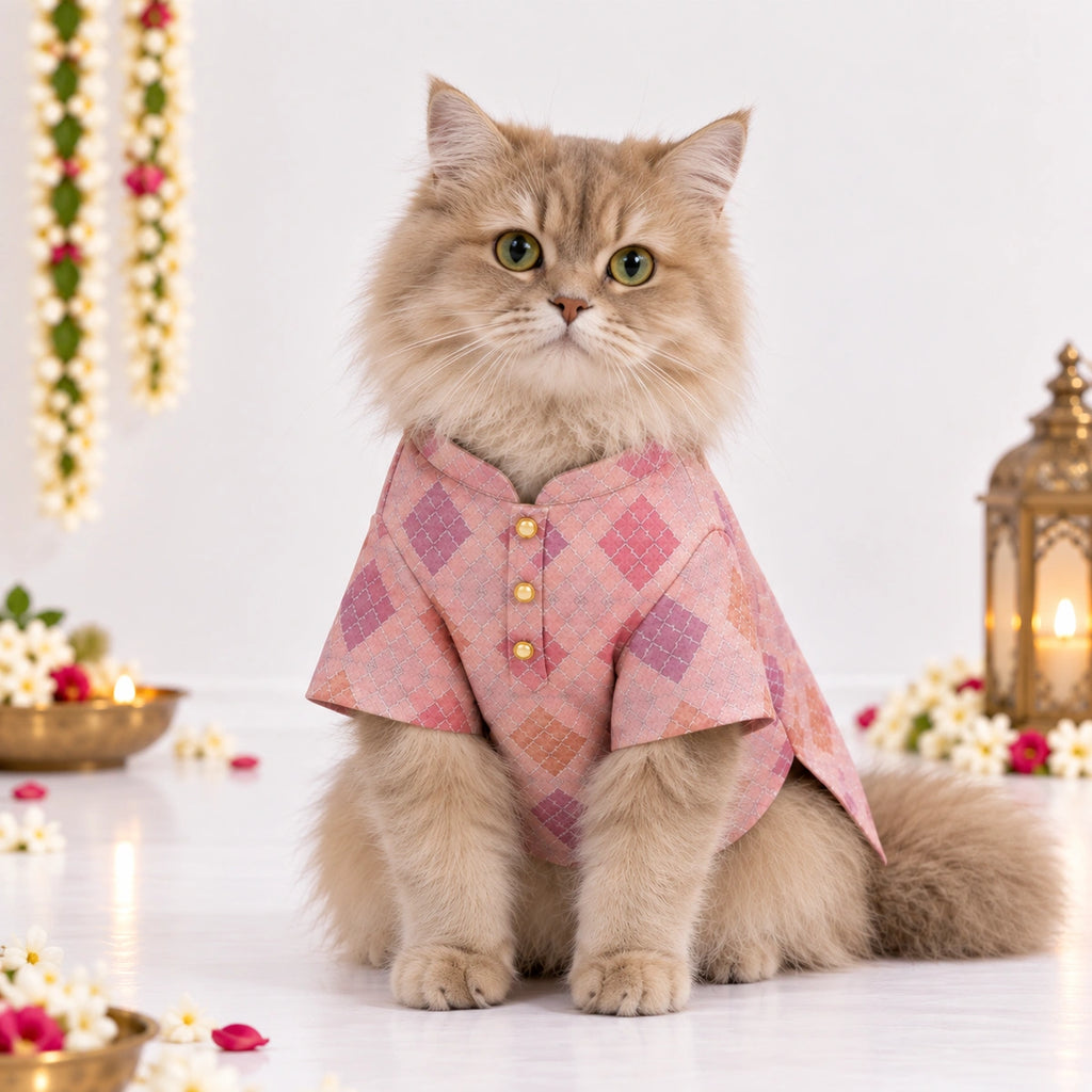 Thunder Tails Jashn Cat Kurta -  Pink Zari