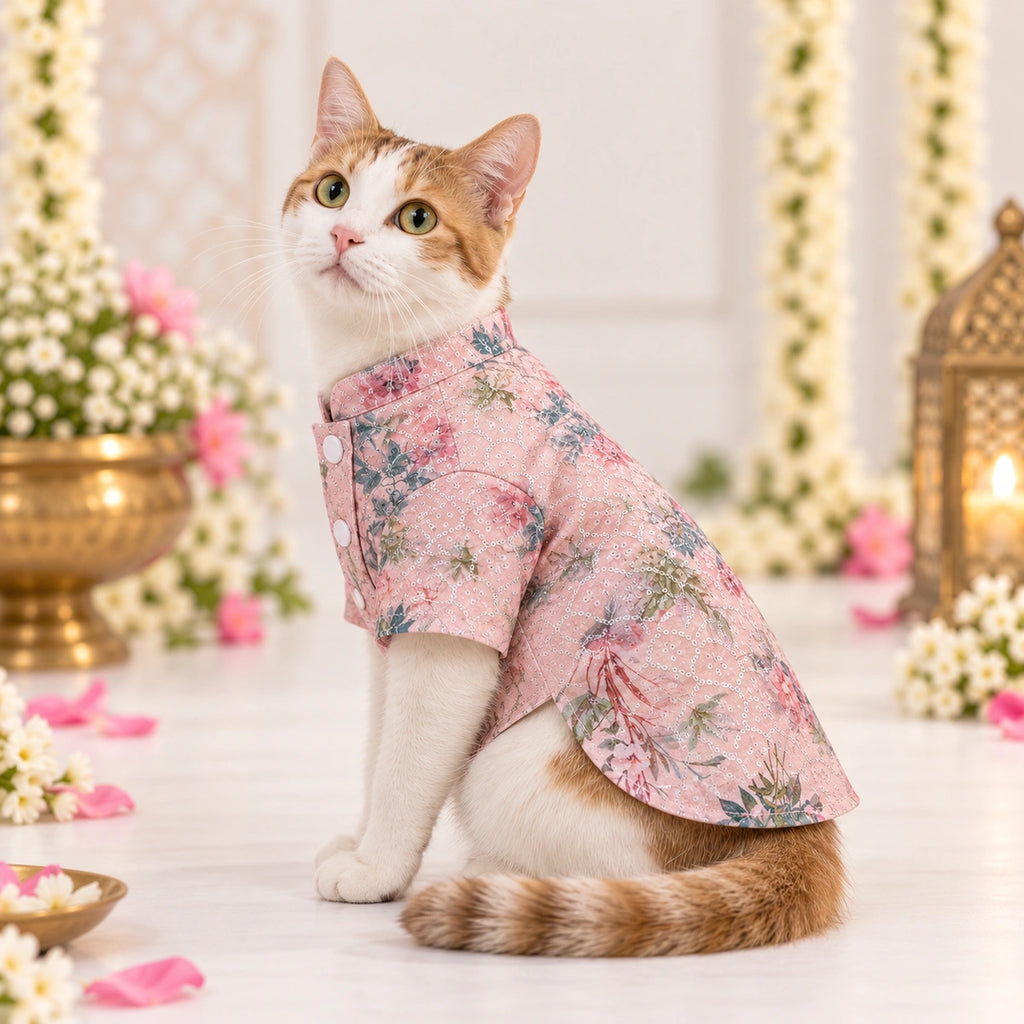 Thunder Tails Jashn Cat Kurta - Pink Sequins