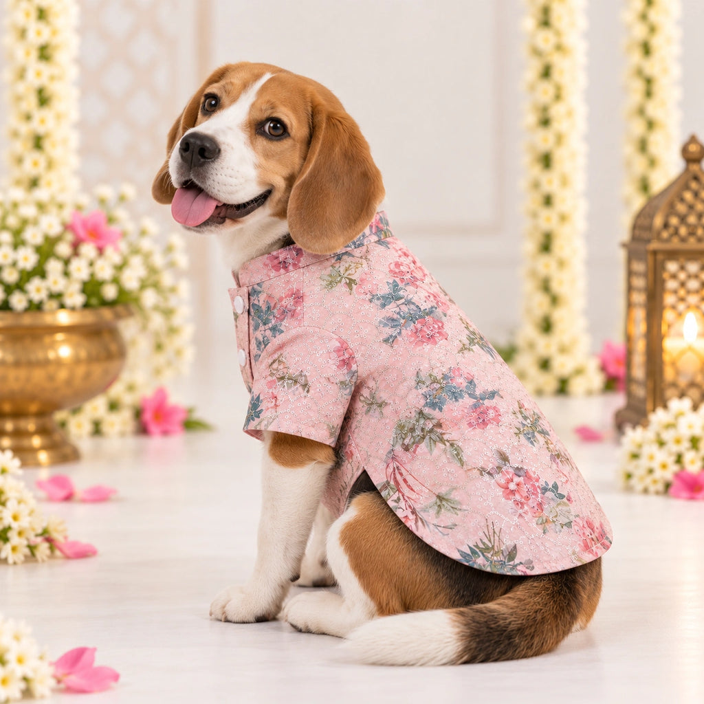 Thunder Tails Jashn Dog Kurta - Pink Sequins