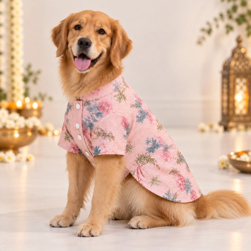 Thunder Tails Jashn Dog Kurta - Pink Sequins