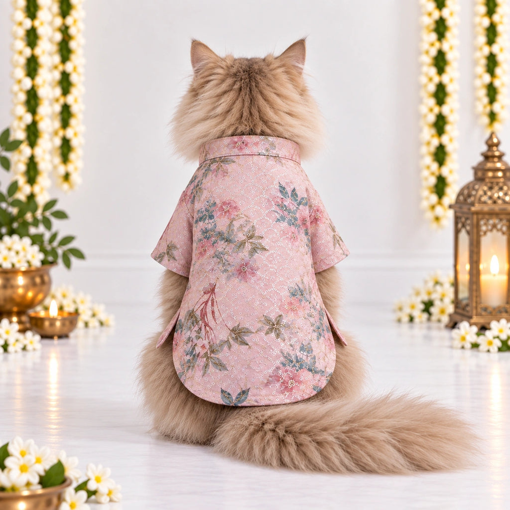 Thunder Tails Jashn Cat Kurta - Pink Sequins