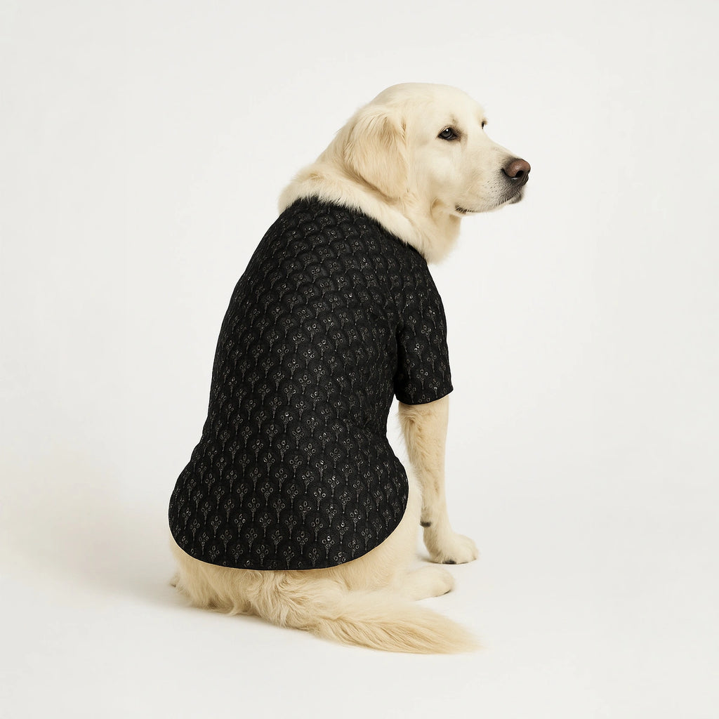 Thunder Tails Black Sequin Festive Kurta