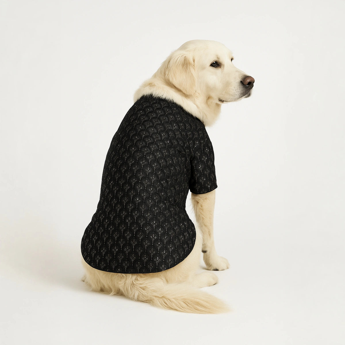 Thunder Tails Black Sequin Festive Kurta