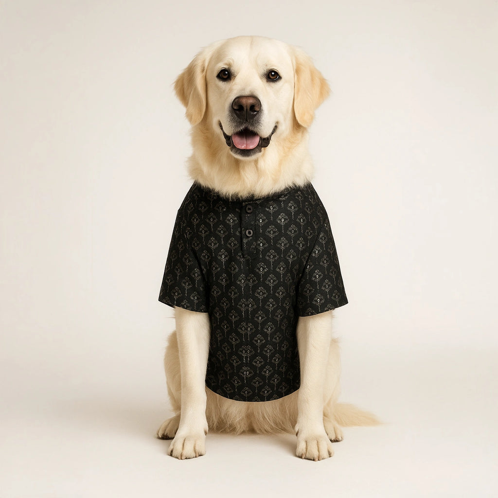 Thunder Tails Black Sequin Festive Kurta