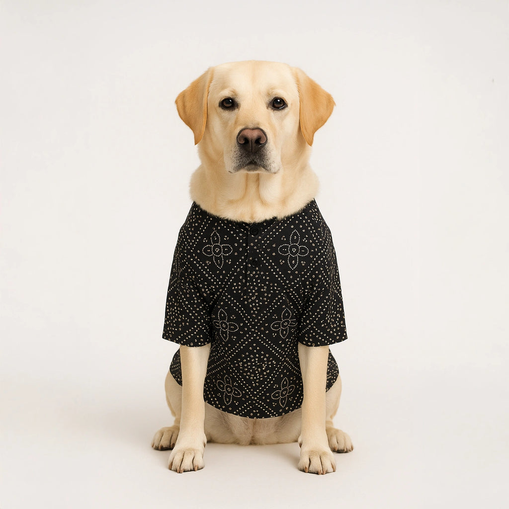 Thunder Tails Black Silk Festive Kurta