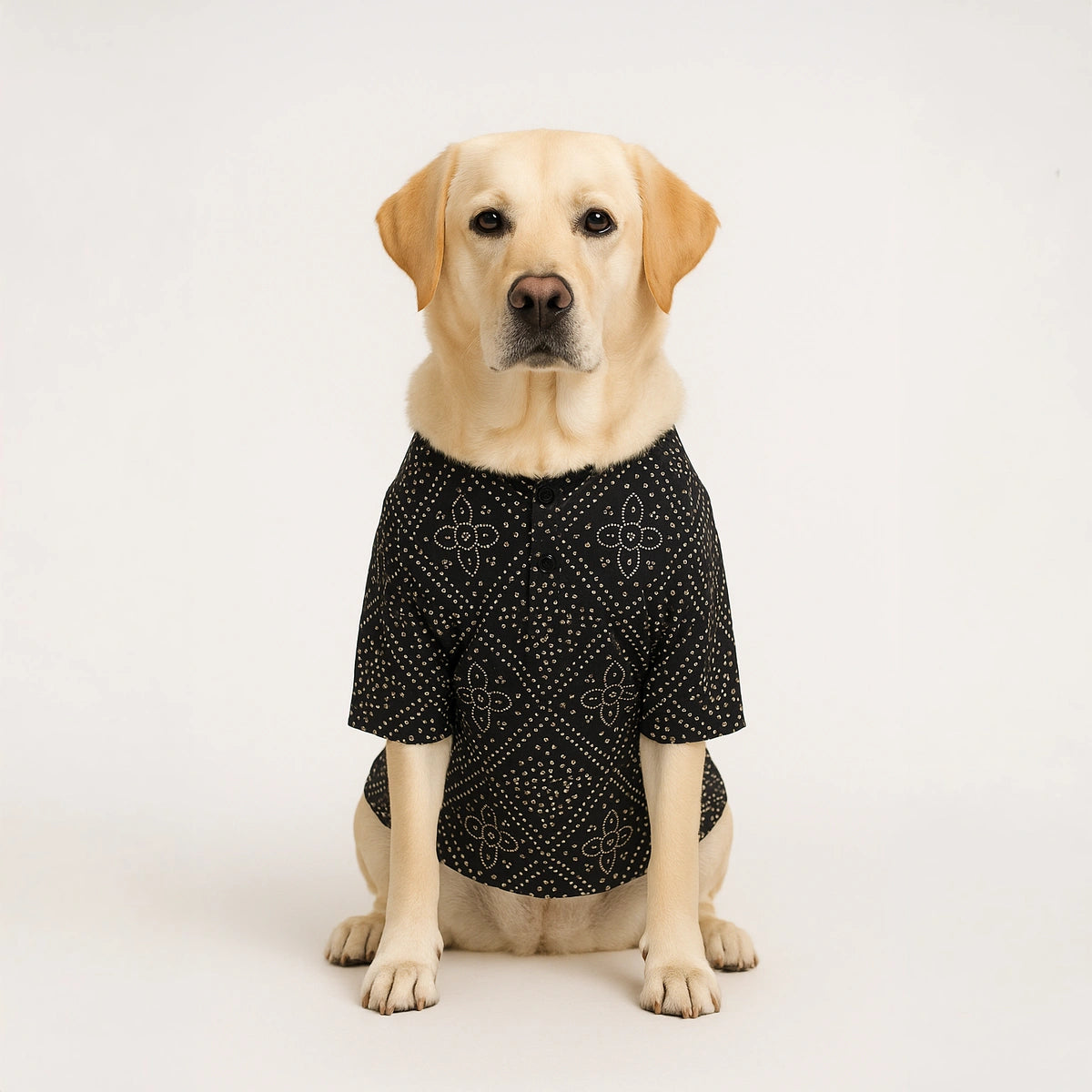 Thunder Tails Black Silk Festive Kurta