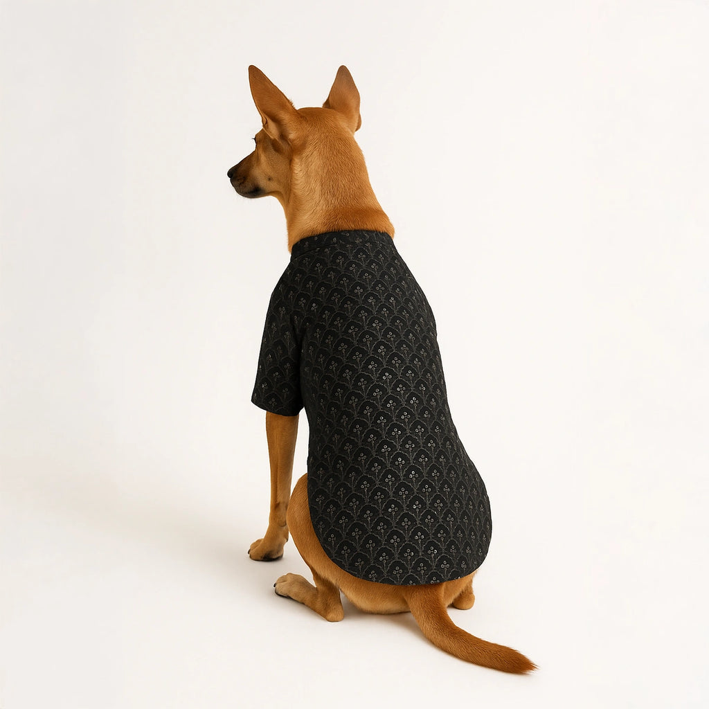 Thunder Tails Black Sequin Festive Kurta