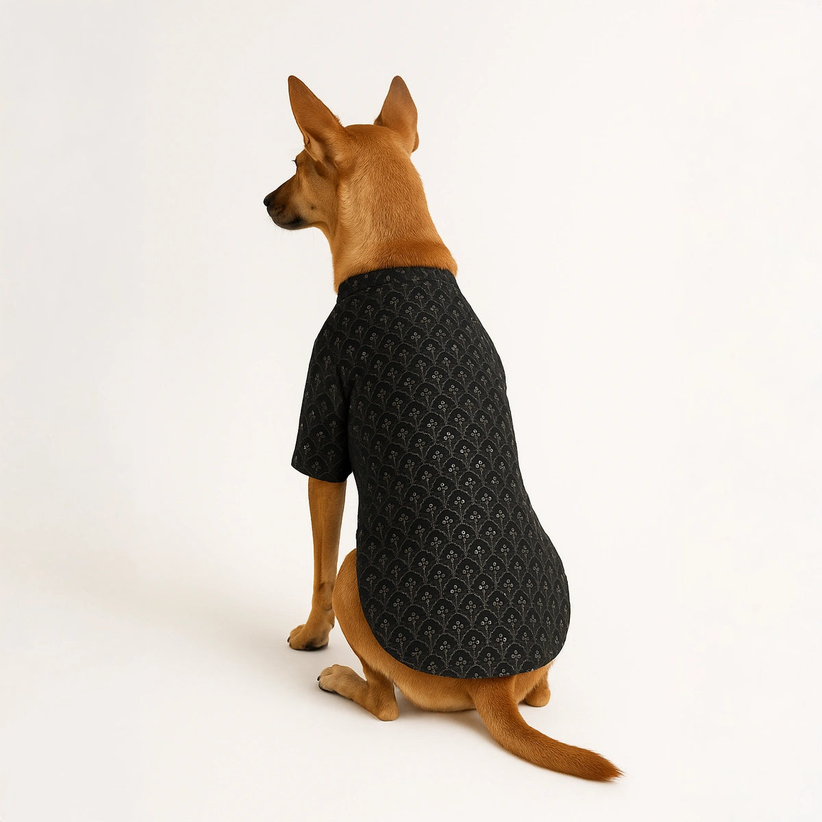 Thunder Tails Black Sequin Festive Kurta