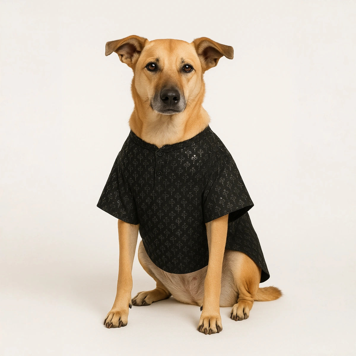 Thunder Tails Black Sequin Festive Kurta