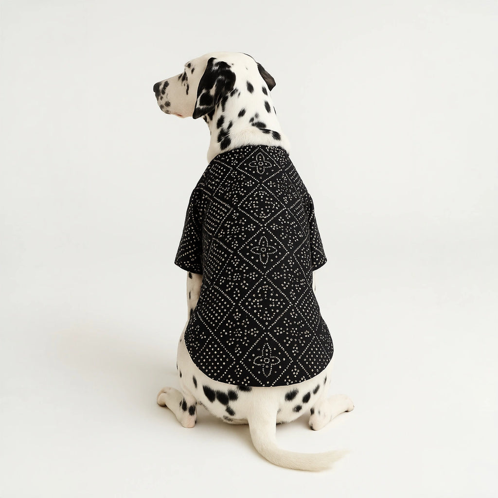 Thunder Tails Black Silk Festive Kurta