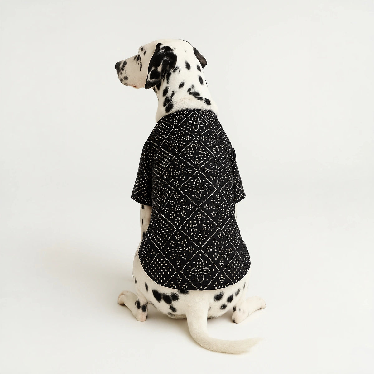 Thunder Tails Black Silk Festive Kurta