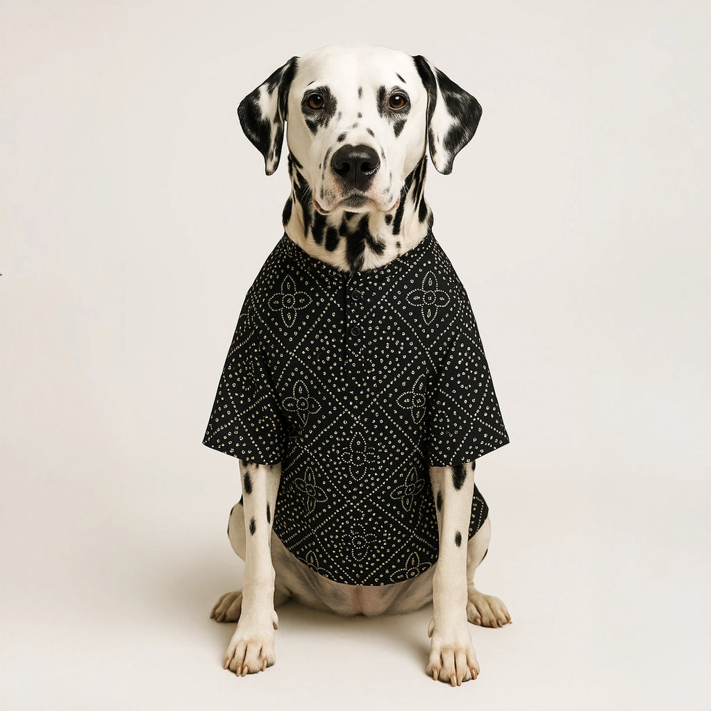 Thunder Tails Black Silk Festive Kurta