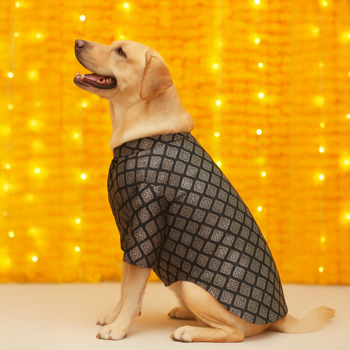 Thunder Tails Black Brocade Festive Kurta