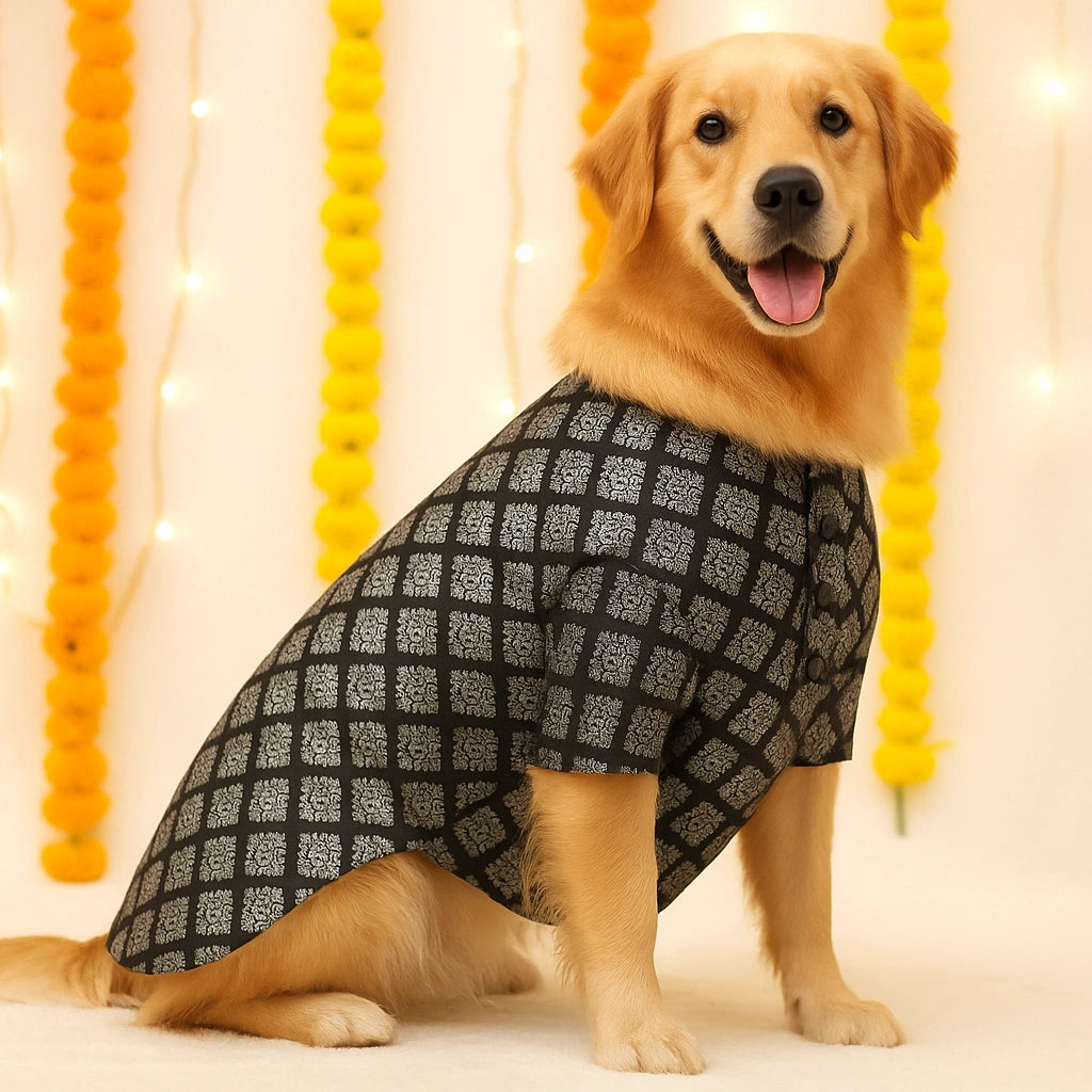 Thunder Tails Black Brocade Festive Kurta