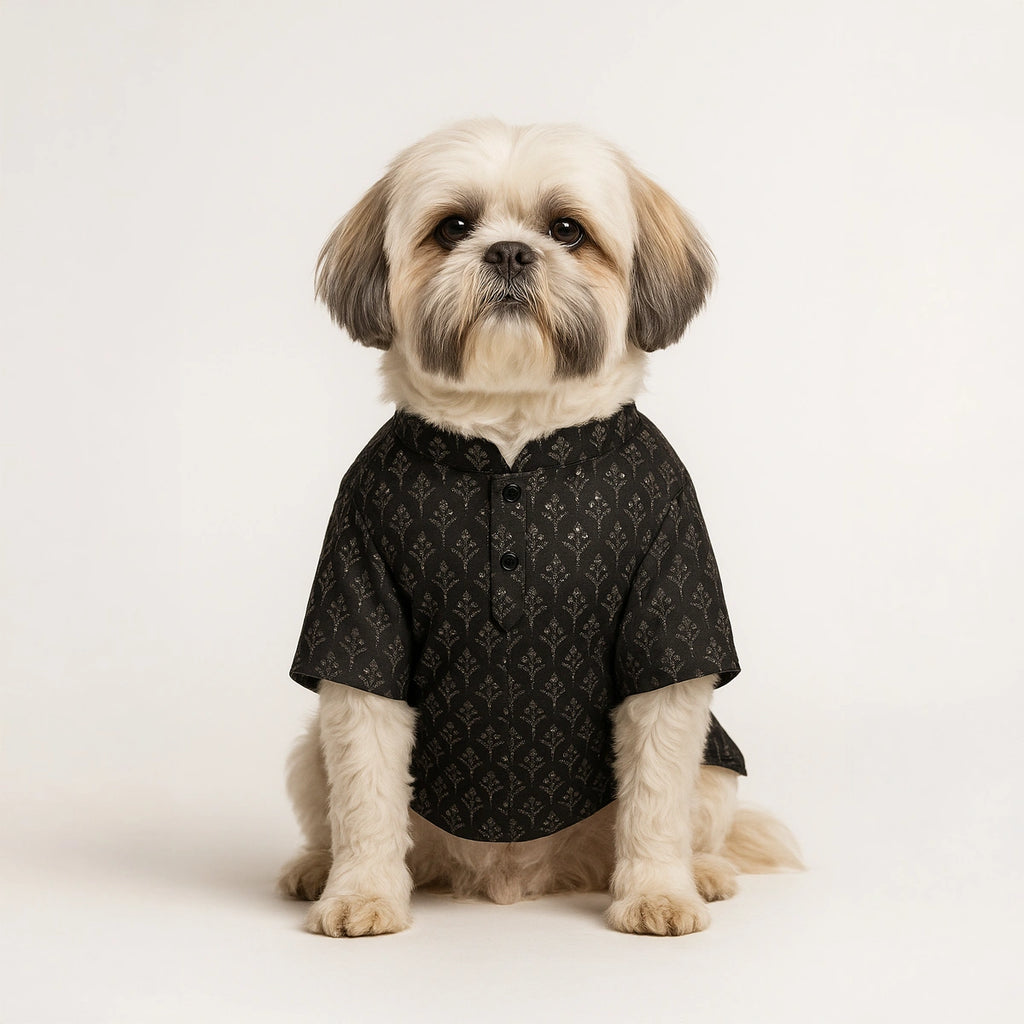 Thunder Tails Black Sequin Festive Kurta