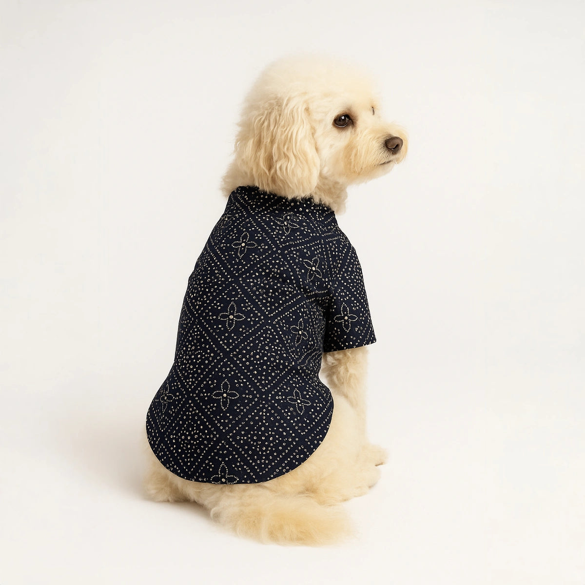 Thunder Tails Black Silk Festive Kurta