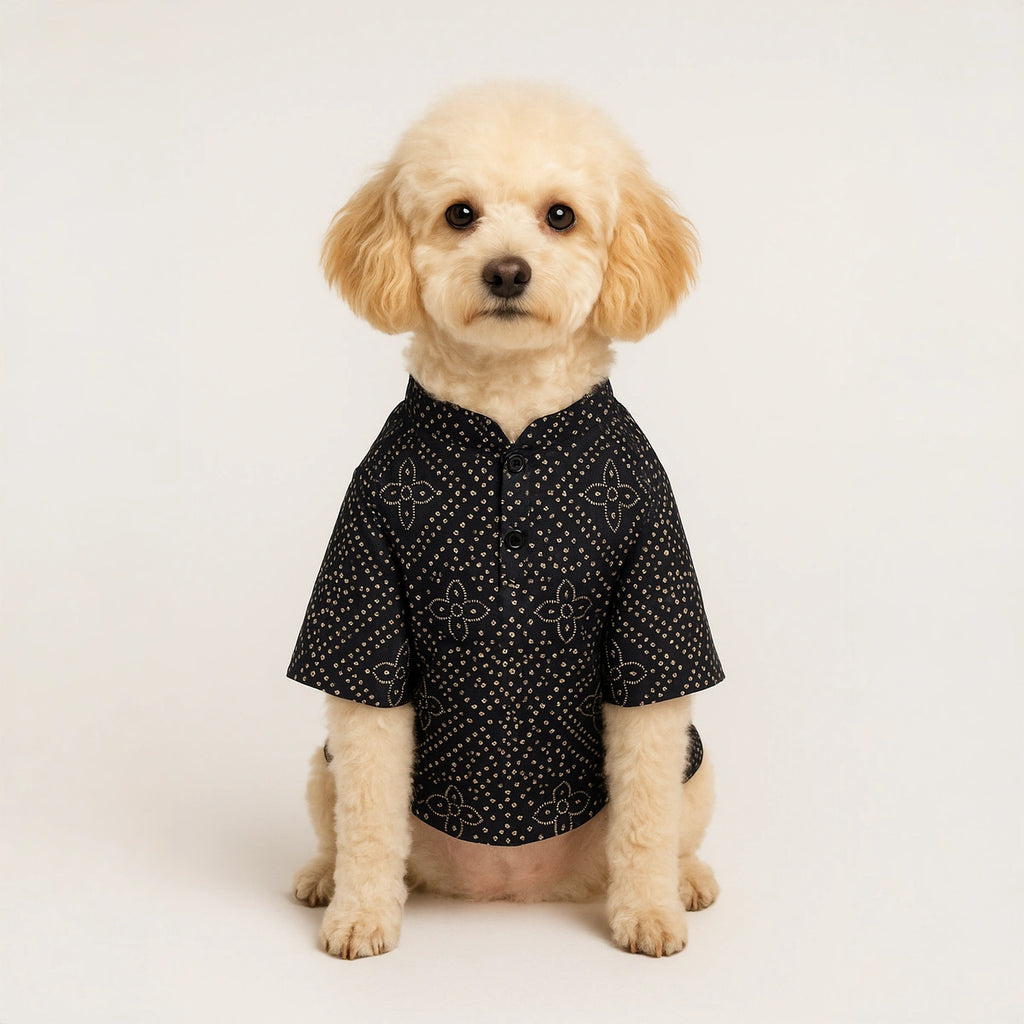 Thunder Tails Black Silk Festive Kurta