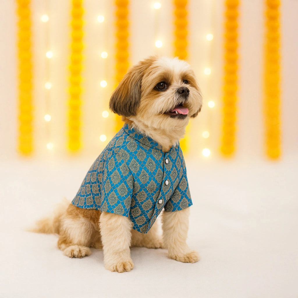 Thunder Tails Blue Brocade Festive Kurta