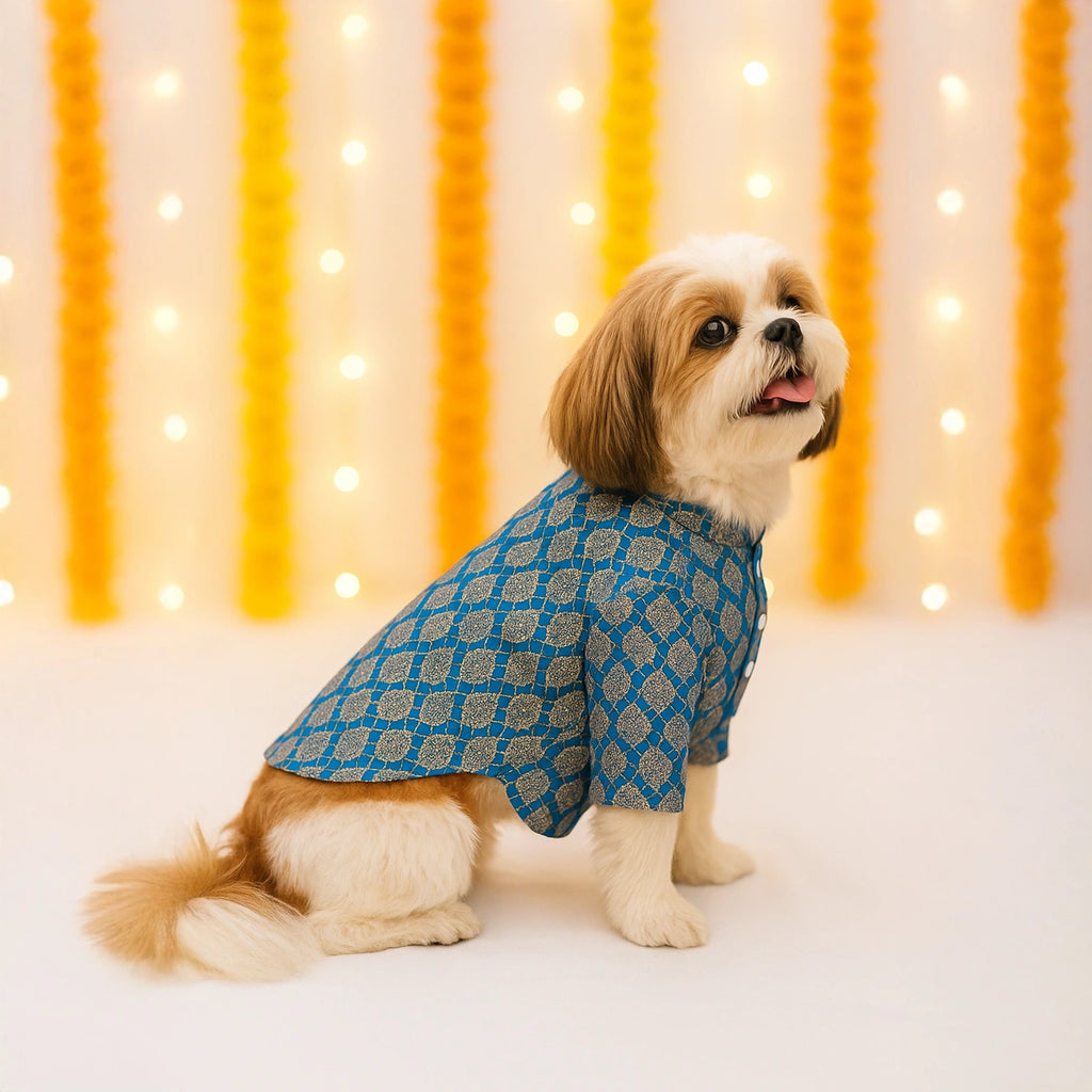 Thunder Tails Blue Brocade Festive Kurta