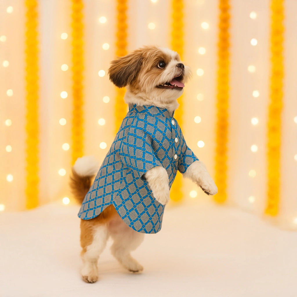 Thunder Tails Blue Brocade Festive Kurta