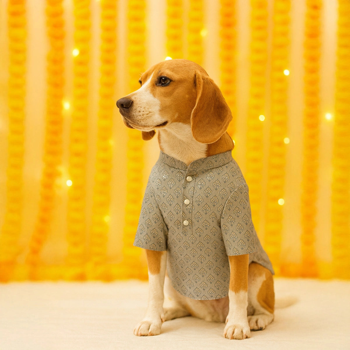 Thunder Tails Grey Brocade Festive Kurta