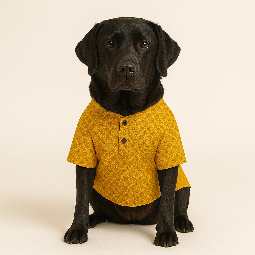 Thunder Tails Yellow Brocade Festive Kurta