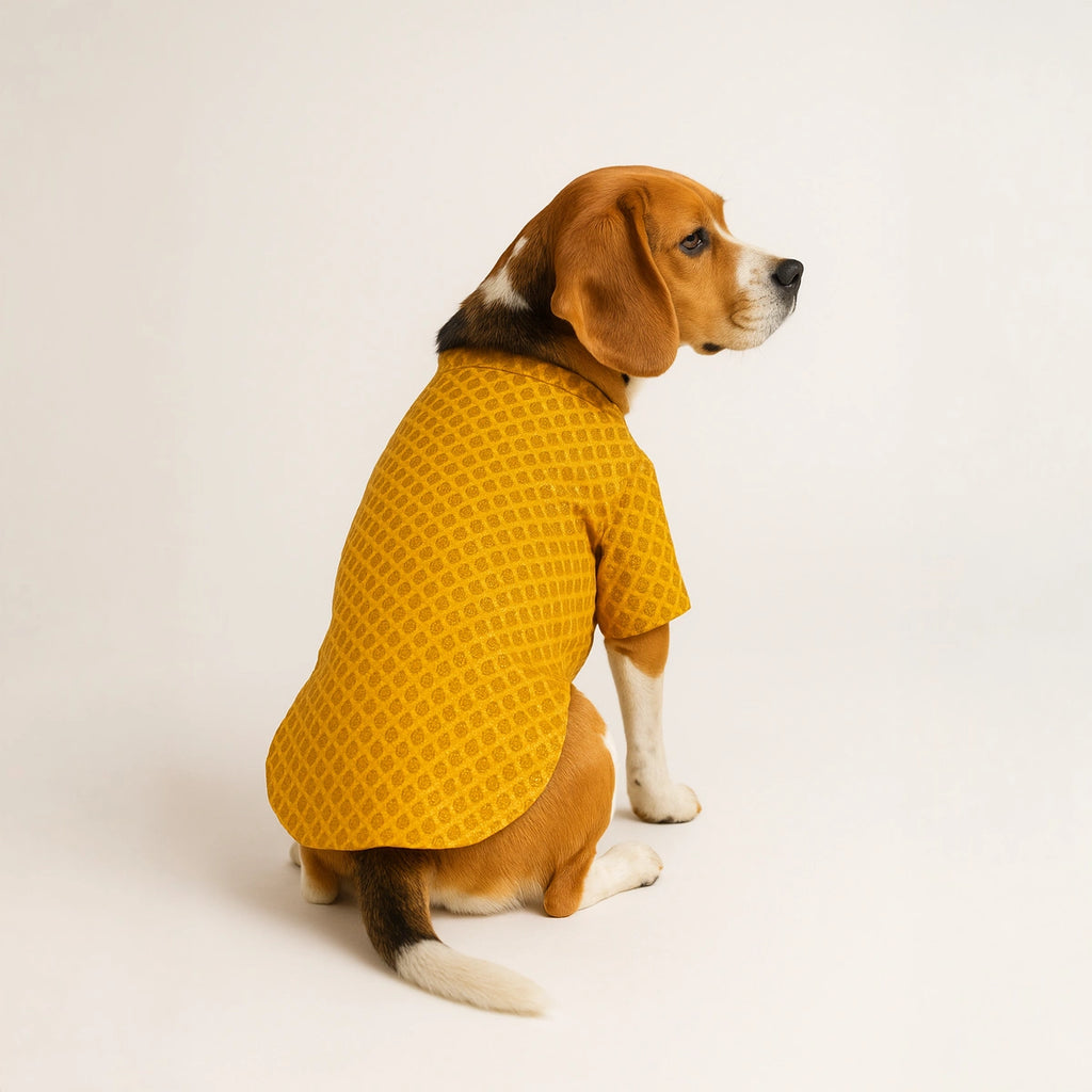 Thunder Tails Yellow Brocade Festive Kurta